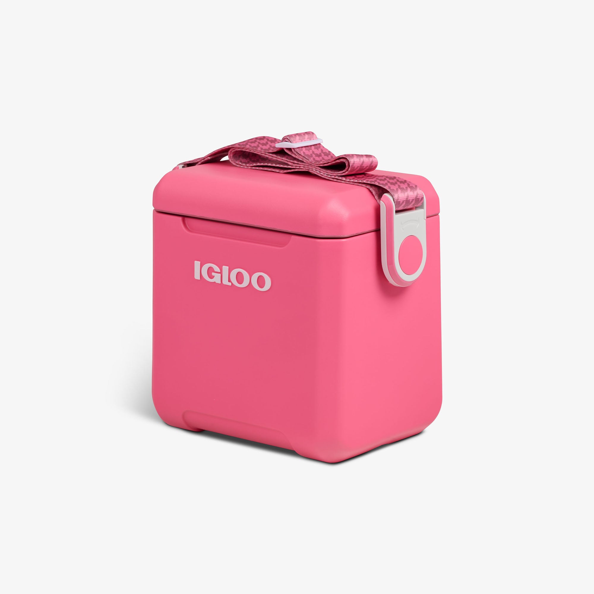 Tag Along Too Remix Cooler - Image 2